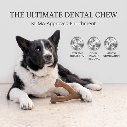 Delvaniq®Ultra-Durable Dog Chew Toy