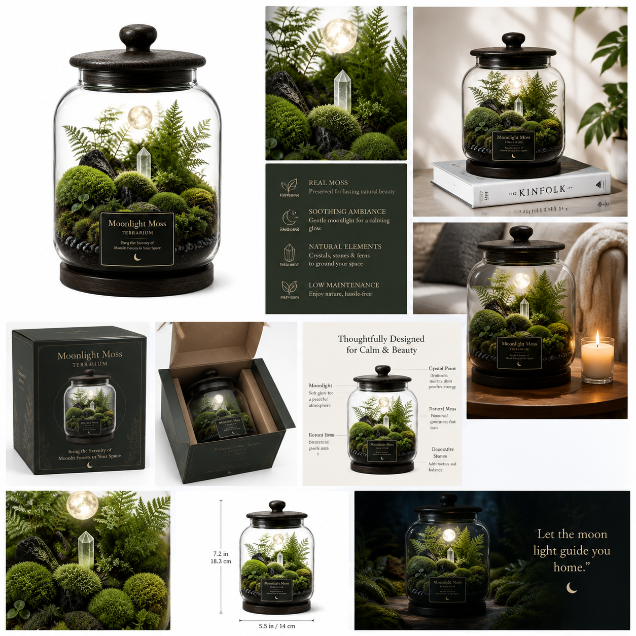 Moonlight Moss Terrarium